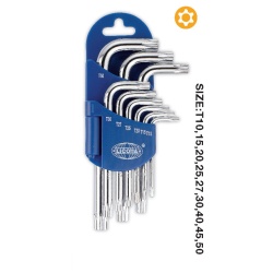LICOTA 2TF20091DPM 9PCS LONG TORX TAMPER PROOF